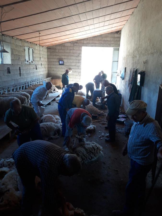 Fumu Ludurru Farm Stay Padru المظهر الخارجي الصورة